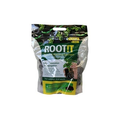 Root It Plugs