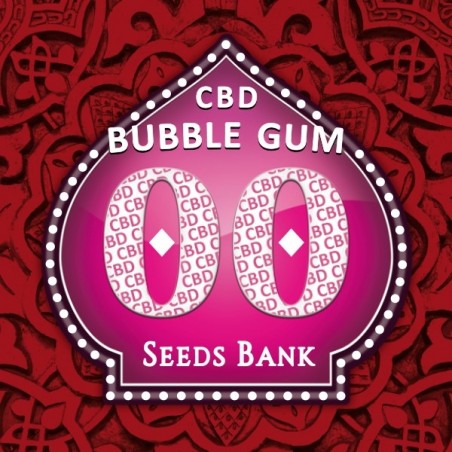 Bubble Gum CBD logo