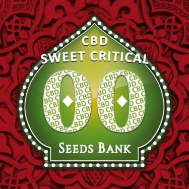 Sweet Critical CBD logo