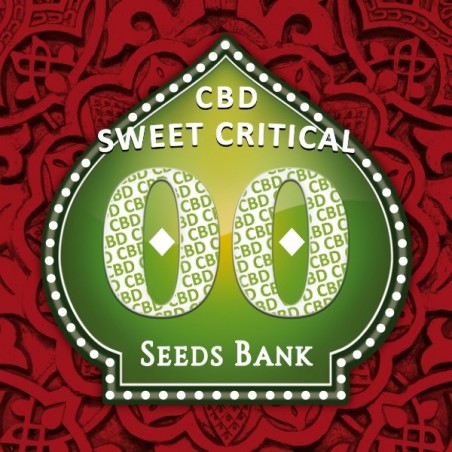 Sweet Critical CBD logo