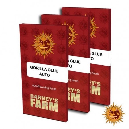 Gorilla Glue Auto Seed Packaging