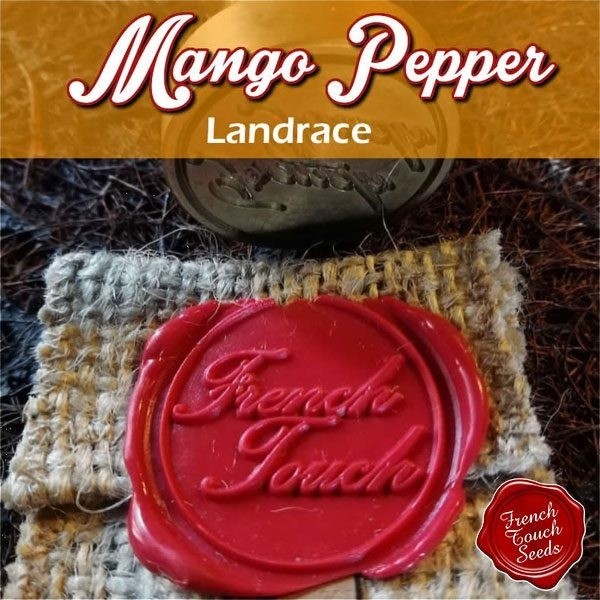 View Mango Pepper Cannabis Seeds