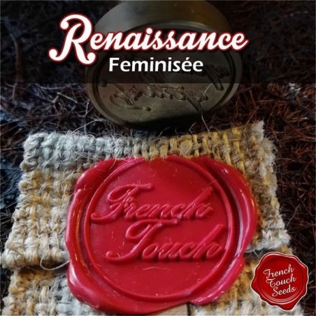 Renaissance Feminized Marijuana Logo