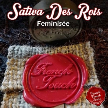 Sativa des Rois Marijuana Seed