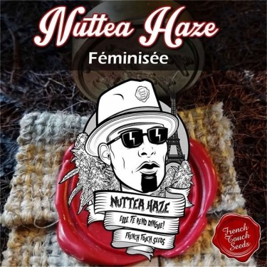 Nuttea Haze