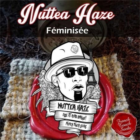 Nuttea Haze Marijuana Seed
