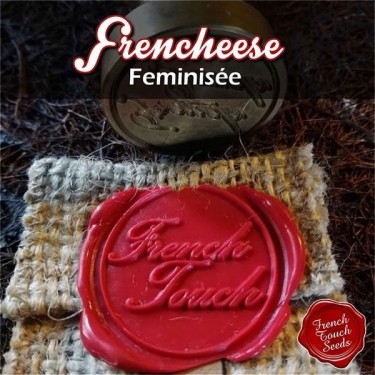 Frencheese Cannabis Seeds