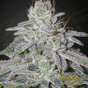 Franco's Lemon Cheese