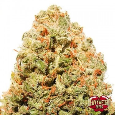 Strawberry Cake