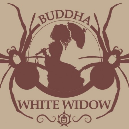 Buddha White Widow Marijuana Plant