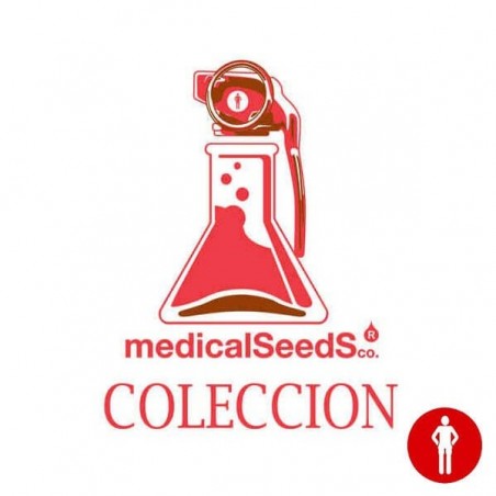 Collection Nº4