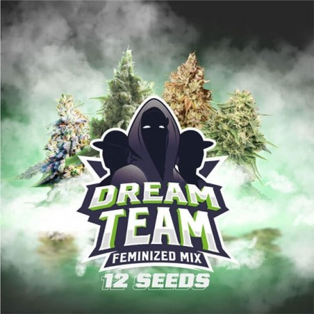 Dream Team Cannabis Strains