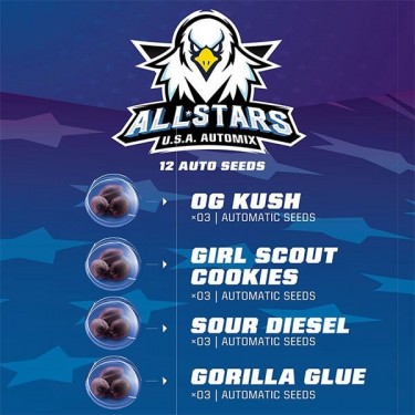 All Star USA Automix