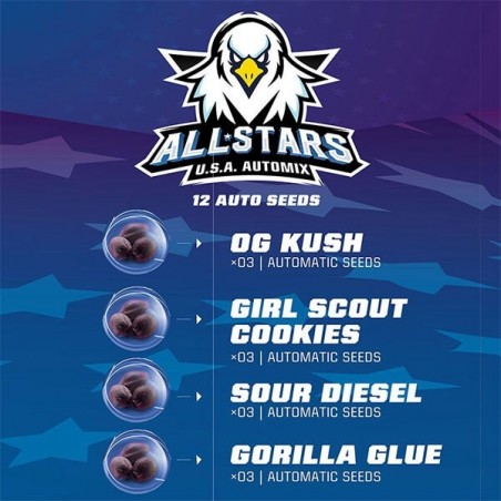 All Star USA Automix