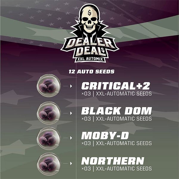 View Dealer Deal XXL Automix Cannabis Strains