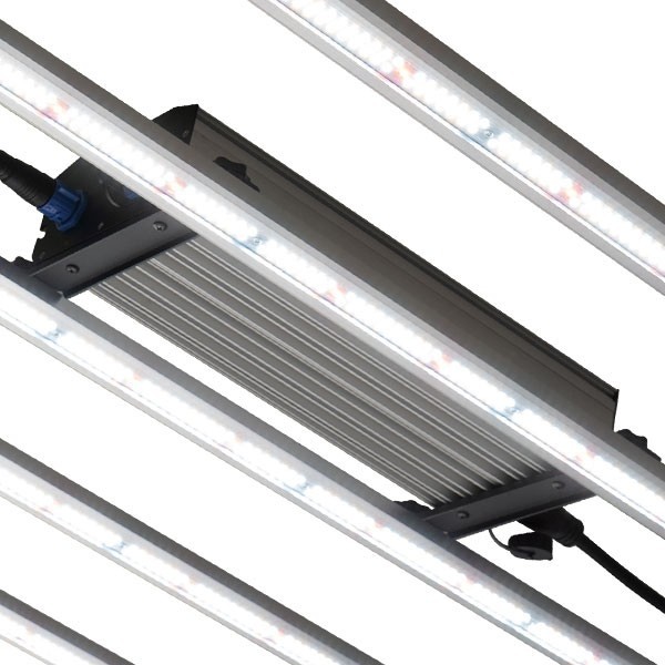 Buy GB Lighting 630W Pro LED Lights - GB