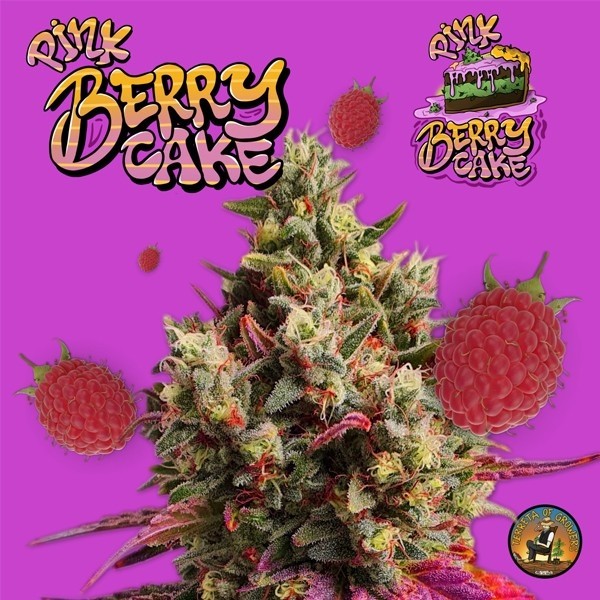 View Pink Berry Cake