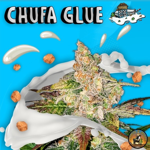View Chufa Glue