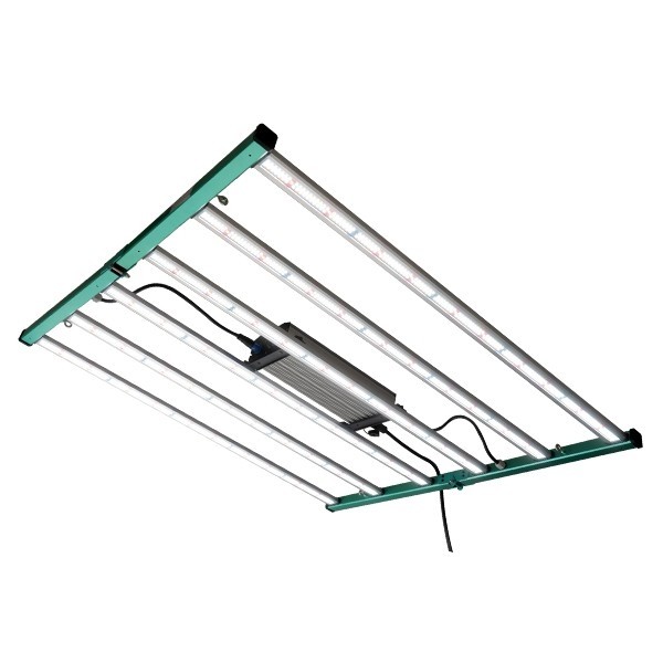 Buy GB Lighting 630W Pro LED Lights - GB