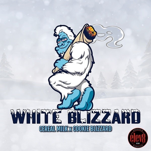 White Blizzard