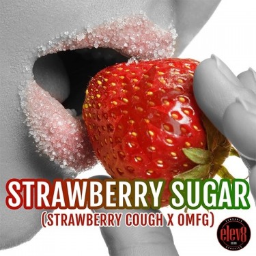 Strawberry Sugar