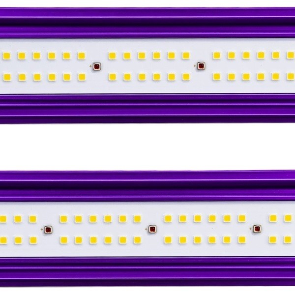 Zeus Lumatek Pro LED System for Indoors - GB