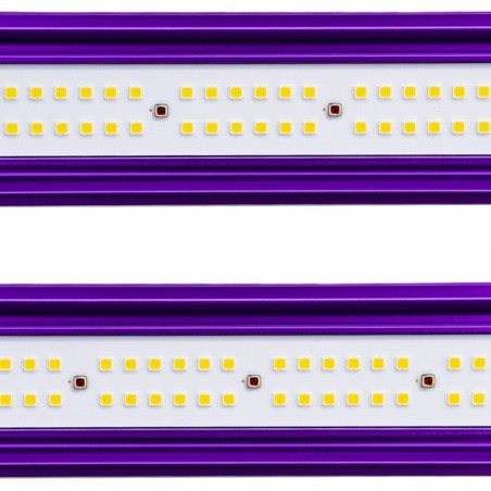 Zeus Lumatek Pro LED System for Indoors - GB
