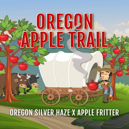 Oregon Apple Trail Elev8 Seeds