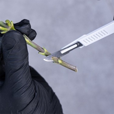 GB Pruning Kit Scalpel