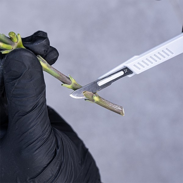 GB Pruning Kit Scalpel