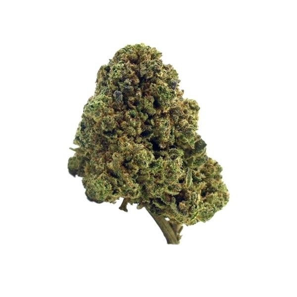 The Tree CBD Indoor Flowers bud