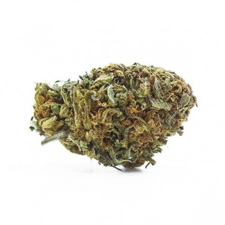 The Tree CBD Outdoor Flowers legal - GB The Green Brand