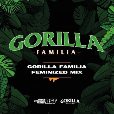 Buy Gorilla Family Mix by BSF Seeds - GB