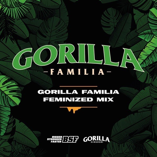 View Buy Gorilla Family Mix by BSF Seeds - GB