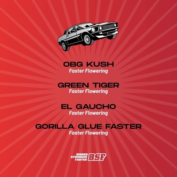 View Faster and Furious Faster Mix