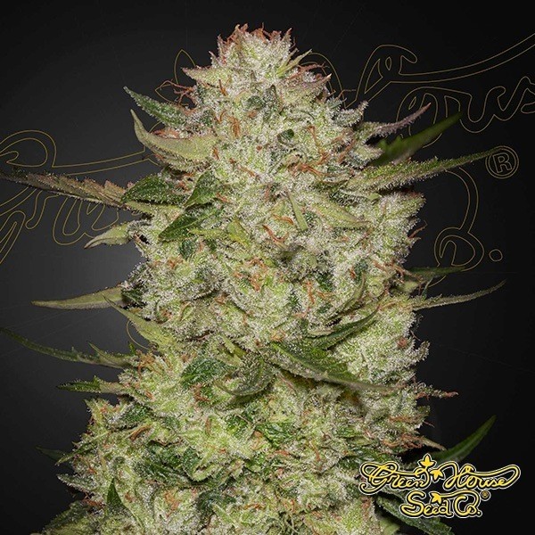 View HighCloudZ Auto