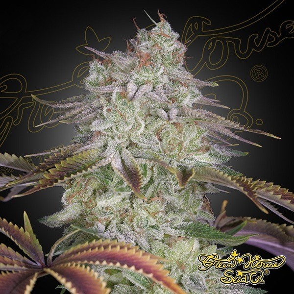View AlienZ - Green House Seeds
