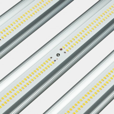 GB Lighting 600W V3.0 Dimmable LED System - GB The Green Brand