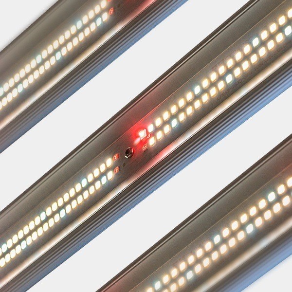 GB Lighting 600W V3.0 Dimmable LED System - GB The Green Brand