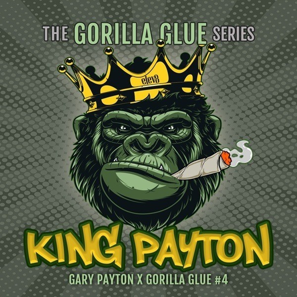 View King Payton