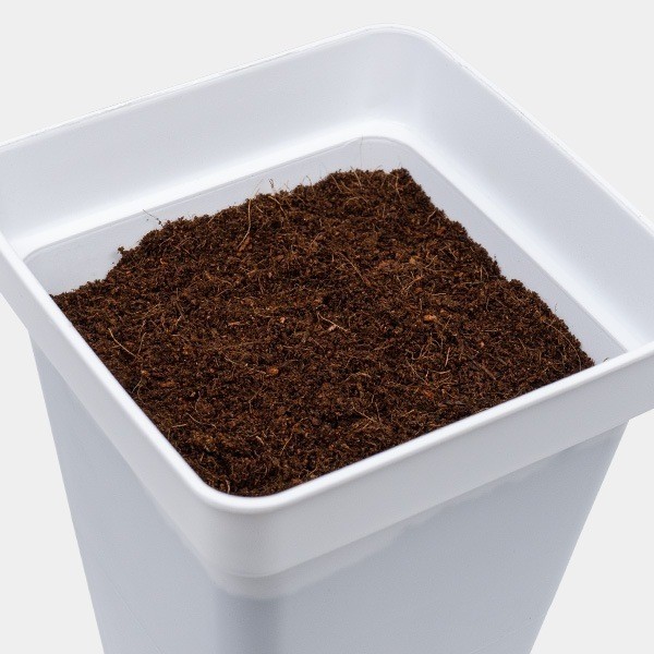 Coco Mix GB Nutrients in a pot