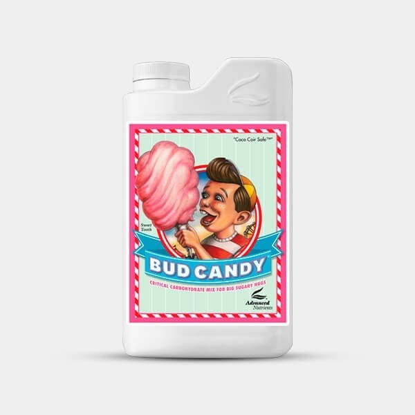 View Bud Candy