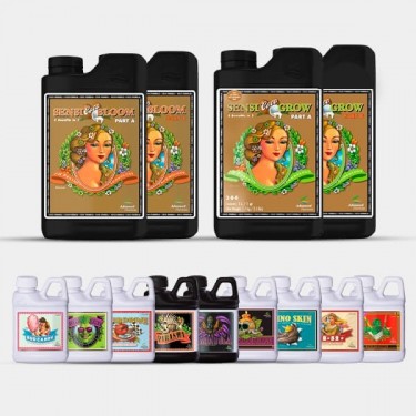 AN Professional Pack