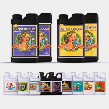 AN Professional Pack