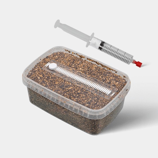 View Microscopic Spore Study Kit (Tupper Included) - GB The Green Brand