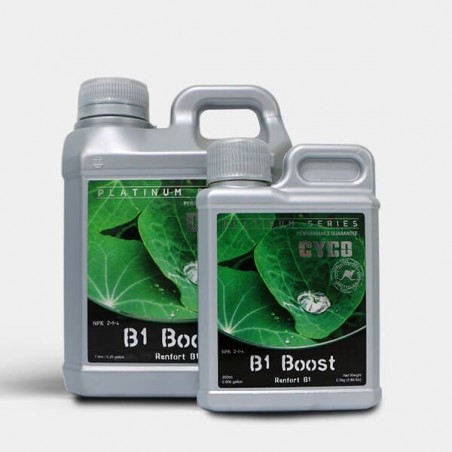 B1 Boost booster by Cyco Platinum series - GB