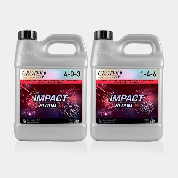 Impact Bloom A+B
