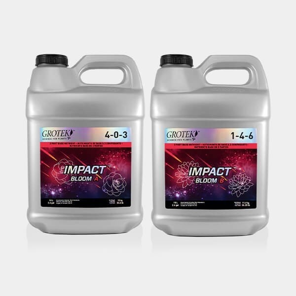 Impact Bloom A+B