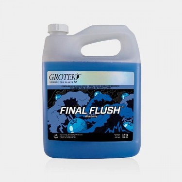 Final Flush