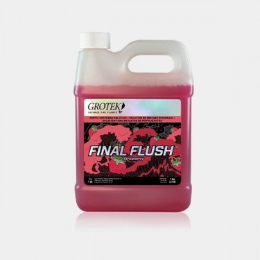 Final Flush